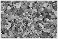 Pictures of NP Sand Grains