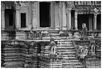 Buddhist monks on stairs, Angkor Wat. Angkor, Cambodia ( black and white)