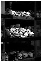 Skulls of executed prisoners, Choeng Ek Killing Fields memorial. Phnom Penh, Cambodia ( black and white)