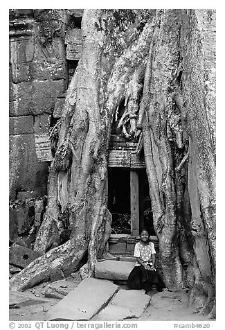 Girl sits at the base of huge bayan tree encroaching on ruins in Ta Prom. Angkor, Cambodia