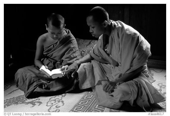 Buddhist novice monks reading. Luang Prabang, Laos (black and white)
