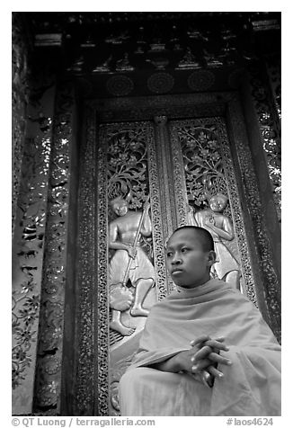 Buddhist novice monk at Wat Xieng Thong. Luang Prabang, Laos