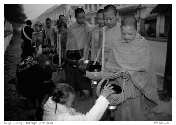 Women give alm during morning procession of buddhist monks. Luang Prabang, Laos