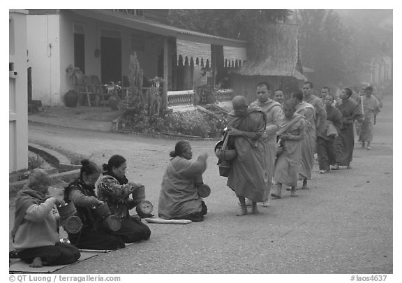 Women line up to offer alm to buddhist monks. Luang Prabang, Laos (black and white)