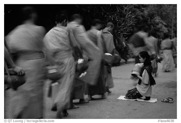 Buddhist monks walking past alm-giving woman. Luang Prabang, Laos (black and white)