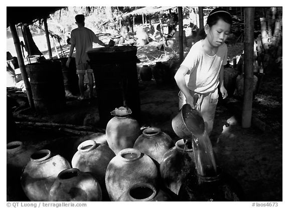 Making of the Lao Lao, strong local liquor in Ban Xang Hai village. Laos