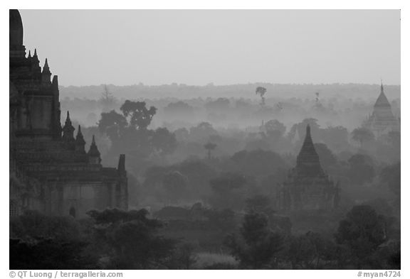 Receeding lines through the dawn mist. Bagan, Myanmar (black and white)