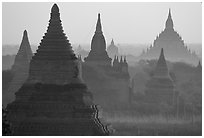 View over temples from Mingalazedi. Bagan, Myanmar ( black and white)