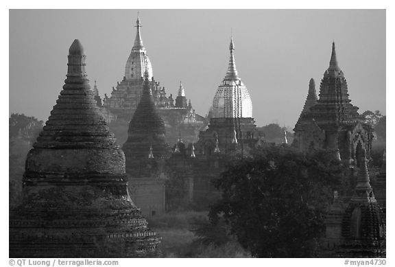 Innumerable temples seen from Mingalazedi. Bagan, Myanmar (black and white)