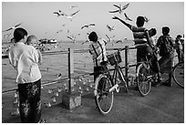 Yangon River pier with seagulls fed by visitors. Yangon, Myanmar ( black and white)