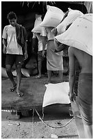 Workers load bags of rice into truck, Sinodan pier. Yangon, Myanmar ( black and white)