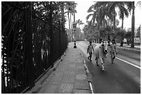 Men with ox walking on road near Kandawgyi lake. Yangon, Myanmar ( black and white)