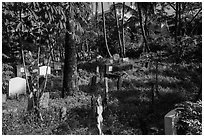 Tombs and vegetation in Muslim Cemetery. Yangon, Myanmar ( black and white)