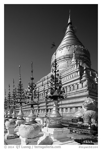 Umbrellas and main stupa, Shwezigon Pagoda. Bagan, Myanmar (black and white)
