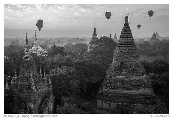 Temples and hot air ballons at sunrise. Bagan, Myanmar (black and white)