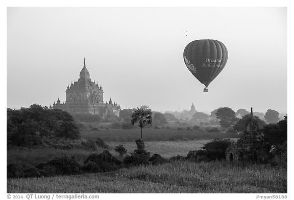 Hot air ballon and Thatbyinnyu temple. Bagan, Myanmar (black and white)