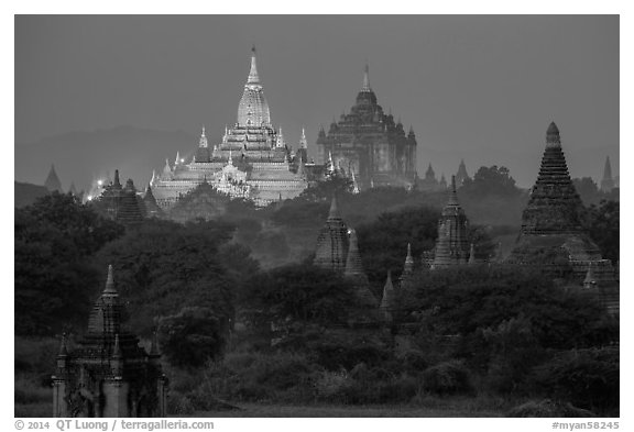 Temples at dawn, including Ananda and Thatbyinnyu. Bagan, Myanmar (black and white)