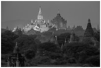 Temples at dawn, including Ananda and Thatbyinnyu. Bagan, Myanmar ( black and white)