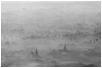 Pagodas and tree ridges in mist as seen from Mandalay Hill. Mandalay, Myanmar ( black and white)