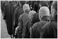 Shaven heads of monks, Mahagandayon Monastery. Amarapura, Myanmar ( black and white)