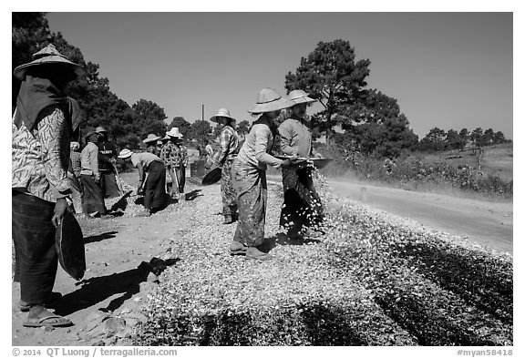 Women doing road construction work. Shan state, Myanmar (black and white)