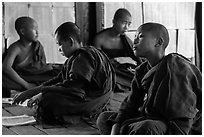 Buddhist monks studying, Shweyanpyay Monastery, Nyaung Shwe. Inle Lake, Myanmar ( black and white)