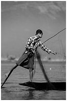 Intha fisherman gathering net. Inle Lake, Myanmar ( black and white)