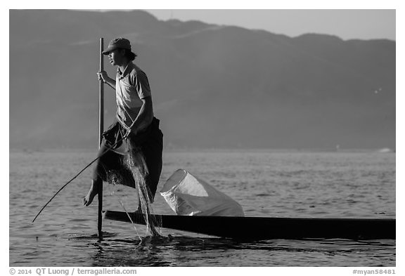 Fisherman pulling up net while leg-rowing. Inle Lake, Myanmar (black and white)