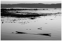 Sunken canoe at sunset. Inle Lake, Myanmar ( black and white)