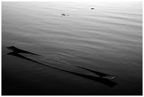 Sunken canoe and rippled water. Inle Lake, Myanmar ( black and white)
