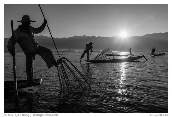 Intha fisherman using spear sticking through the top of basket to expose fish. Inle Lake, Myanmar (black and white)