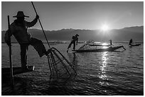 Intha fisherman using spear sticking through the top of basket to expose fish. Inle Lake, Myanmar ( black and white)