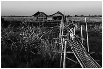 Family walking out of stilt house on precarious bridge. Inle Lake, Myanmar ( black and white)