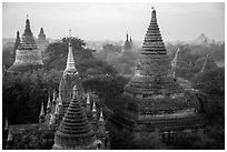 Dense array of ancient temples. Bagan, Myanmar ( black and white)