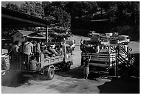 Trucks carrying pilgrims to the top. Kyaiktiyo, Myanmar ( black and white)