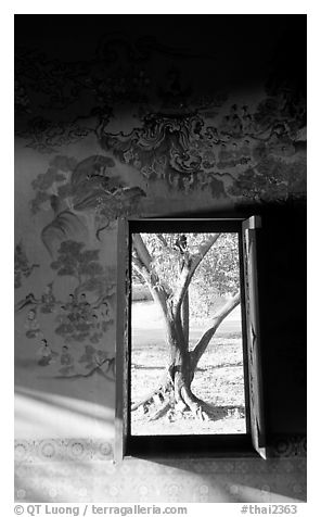 Tree seen through window. Muang Boran, Thailand (black and white)