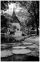 Lotus pond and Ayuthaya-style temple. Muang Boran, Thailand (black and white)