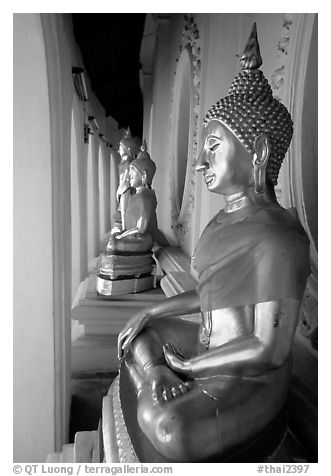 Buddhas images in gallery, Phra Pathom Wat. Nakhon Pathom, Thailand (black and white)