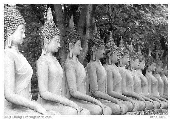 Row of Buddha images in Wat Chai Mongkon, reverently swathed in cloth. Ayutthaya, Thailand (black and white)