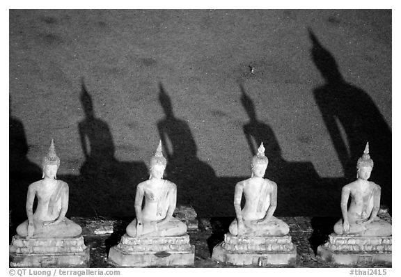 Buddha images and shadows, Wat Chai Mongkon. Ayutthaya, Thailand (black and white)