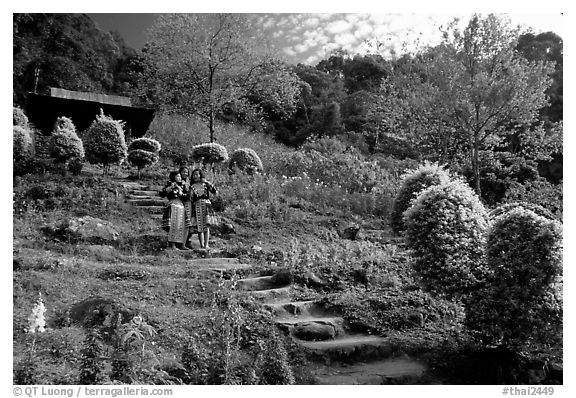Children in traditinal hmong dress in flower garden. Chiang Mai, Thailand (black and white)