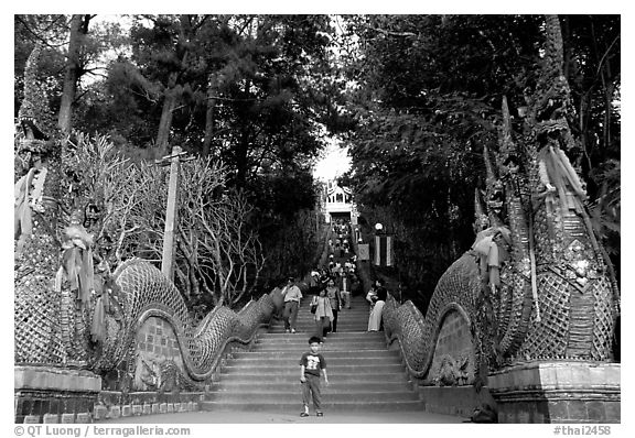 Naga (snake) staircase leading to Wat Phra That Doi Suthep. Chiang Mai, Thailand