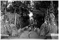 Naga (snake) staircase leading to Wat Phra That Doi Suthep. Chiang Mai, Thailand ( black and white)