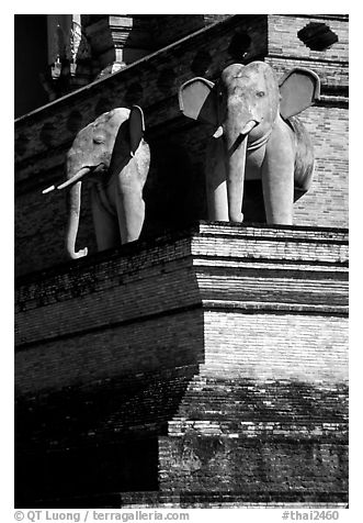 Elephants at Wat Chedi Luang. Chiang Mai, Thailand (black and white)