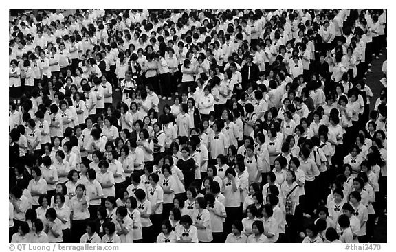 Rows of uniformed school girls lined up during prayer. Chiang Rai, Thailand