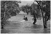 Mangroves and boat in distance, Ao Rai Leh East. Krabi Province, Thailand ( black and white)