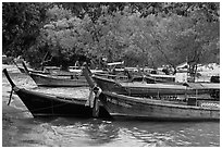 Long tail boats and trees, Ao Rai Leh East. Krabi Province, Thailand ( black and white)