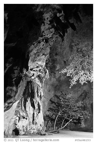 Cliff and trees at night. Krabi Province, Thailand