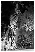 Cliff and trees at night. Krabi Province, Thailand ( black and white)