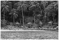 Beachfront huts and palm trees, Ko Phi-Phi Don. Krabi Province, Thailand (black and white)